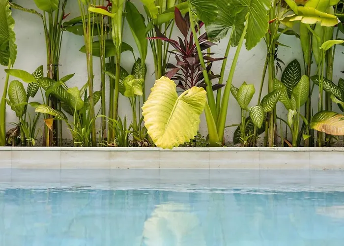 Mediterranean 2br Ellure Ember With Pool & Lush Garden Villa Jimbaran
